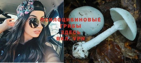 бошки Алексеевка