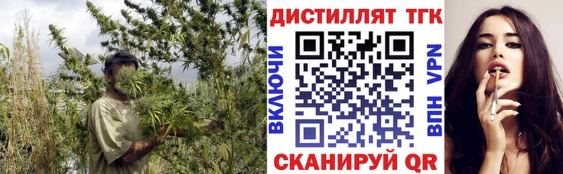 цена Саки мега tor Дистиллят ТГК THC oil