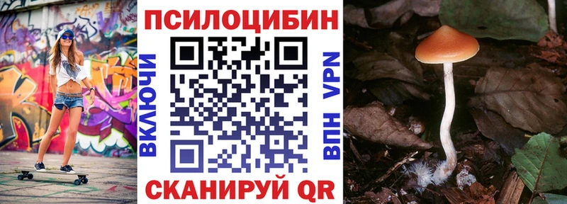 Псилоцибиновые грибы Psilocybe  Саки 