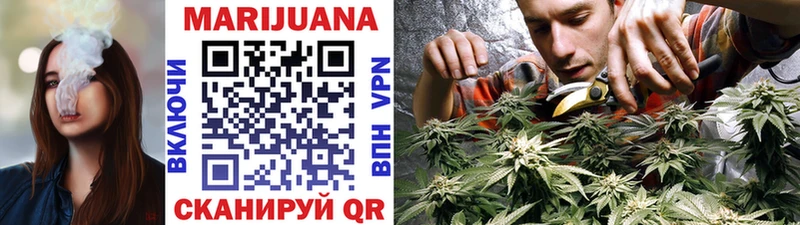 Бошки марихуана Ganja Саки
